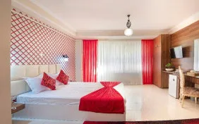 اتاق یک تخته لوکس (اقامت با صبحانه)