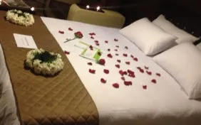 اتاق دو تخته دبل استاندارد (اقامت با صبحانه)