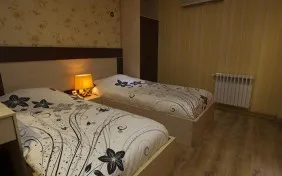 اتاق دو تخته توئین تیپ B (اقامت با صبحانه)