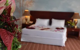 اتاق دو تخته دبل (دید به دریا) (اقامت صبحانه)