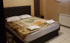 اتاق دو تخته دبل (اقامت با صبحانه)