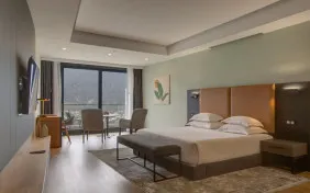 اتاق دبل اگزکتیو ویو جنگل طبقات 19 تا 23 (اقامت باصبحانه)