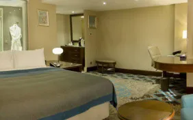 سوئیت لاکچری یک نفره (اقامت با صبحانه)