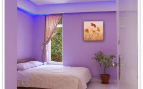 اتاق دو تخته (اقامت با صبحانه)